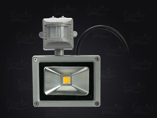10W Induction LED Floodlight Waterproof LED Flood Lights for Billboard , Tunnel , Subway