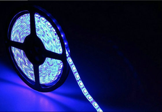 Christmas SMD5050 Low Voltage LED Strip Lights Waterproof 7.2W/M 50Hz - 60Hz