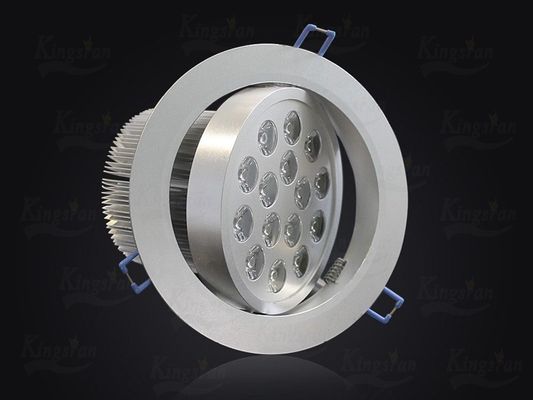 Epistar 15 Watt High Power LED downlight globes 1200lm High Lumen Warm White