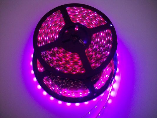 24 Watt RGB Digital LED Strip Lighting SMD5050 DV12V / DC24V With 150leds