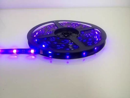12V / 24V UV Led Strip Light Kits / Set SMD5050 with Adapter and Controller