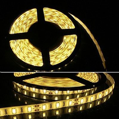 Superbright 300leds Low Voltage LED Strip Lights SMD5630 White / Warm White