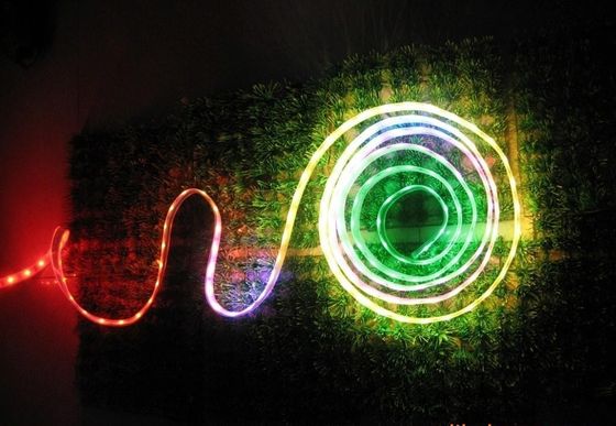 Low Voltage SMD3528 300leds RGB Digital LED Strip Light Color Changing For DIY Decorating