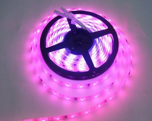 Low Voltage SMD3528 300leds RGB Digital LED Strip Light Color Changing For DIY Decorating