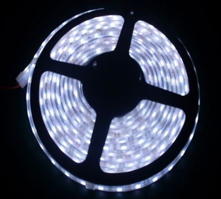 RGB 60Leds Low Voltage LED Strip Lights Waterproof DC24V SMD5050 With Adapter