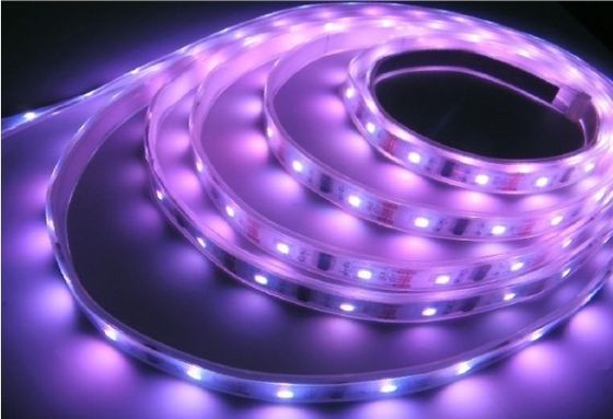 50000 Hours 24V Flexible LED Strip Light , Waterproof SMD 5050 LED Chip