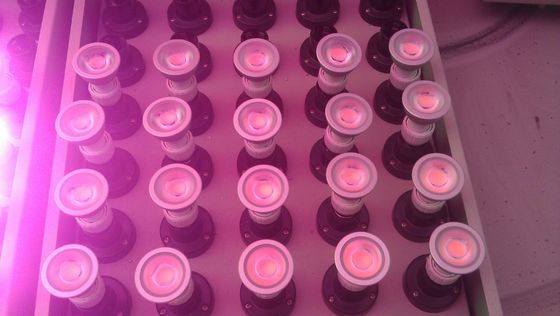 Aluminum COB 5 Watt LED Spot Light Bulbs 400lm Energy Saving For Lighting CE ROHS