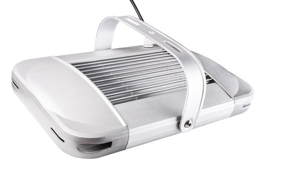 Outdoor LED Flood Light 240W  Billboard and Area Lighting 5 Years Warranty