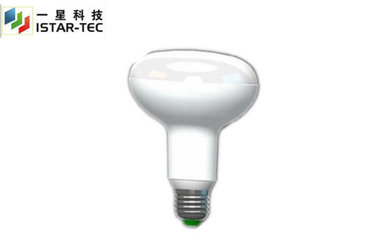 B22 LED Light Bulbs