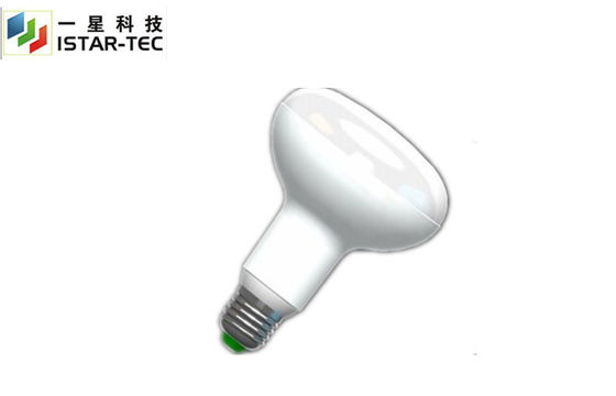 B22 LED Light Bulbs